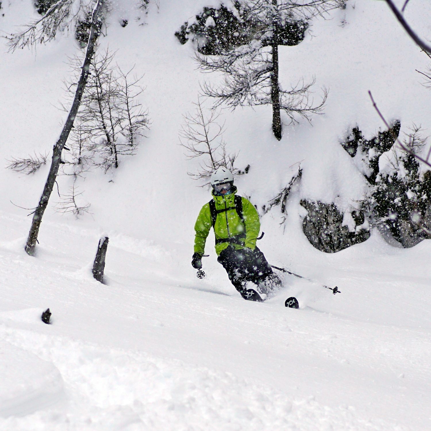 So sehen perfekte Powdertage am Krippenstein aus. Freeride und Snowboard Camps in den faschingsferien am Krippenstein